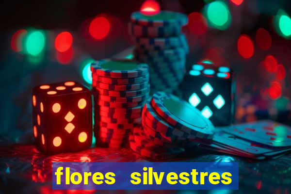 flores silvestres desbravadores desbravadores 25 flores silvestres e seus nomes